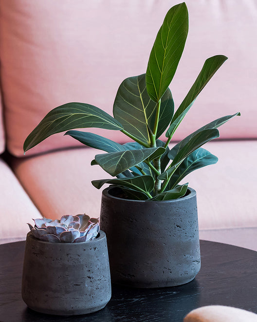 INDOOR PLANTERS &amp; POTS