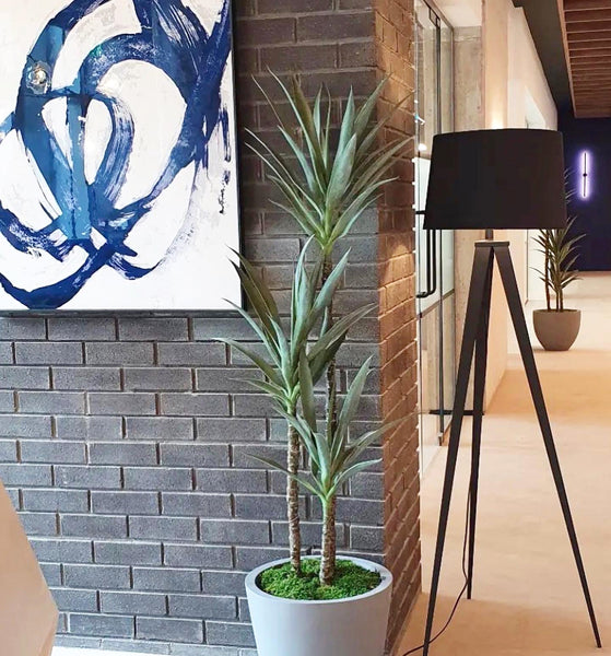 Artificial 3 Stem Yucca Plant. Realistic artificial plant indoor use, tall faux plant.