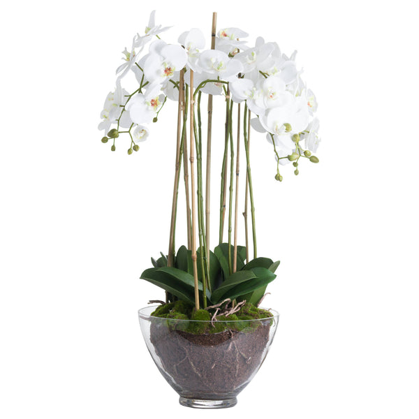 Large Luxury Artificial White Orchid in Glass Bowl 88cm