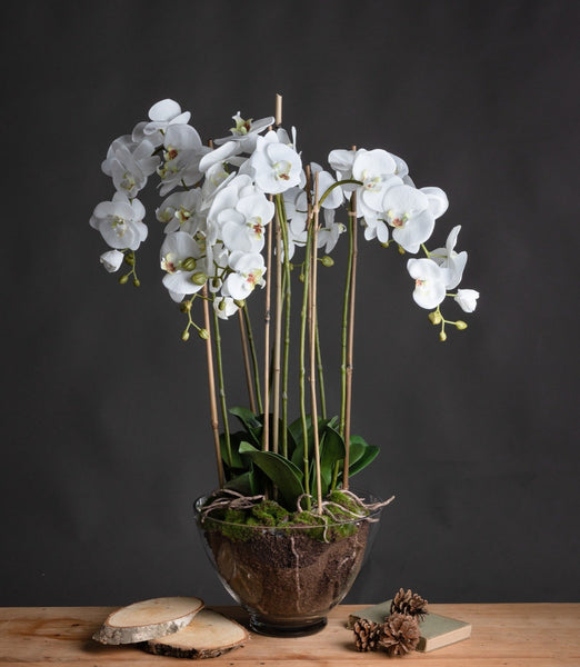 Large Luxury Artificial White Orchid in Glass Bowl 88cm
