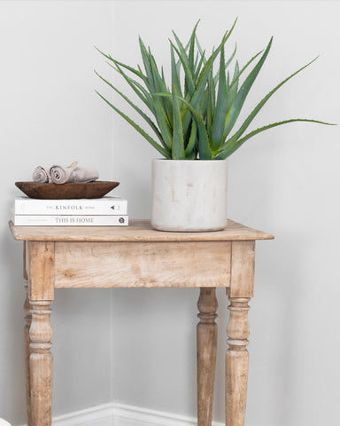 Aloe Artificial Plant in Pot