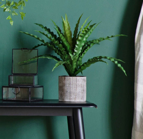 Artificial Asplenium Fern Plant in Decorative Pot