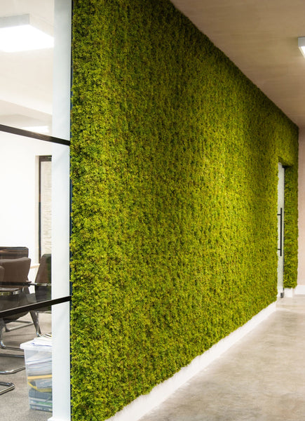 Artificial moss wall panels. Reindeer Moss Mats. Faux moss to create moss walls. Fire retardant moss walls.