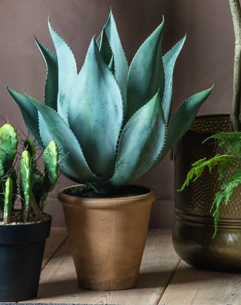 Artificial Plants Faux Agave Plant in Pot 56cm