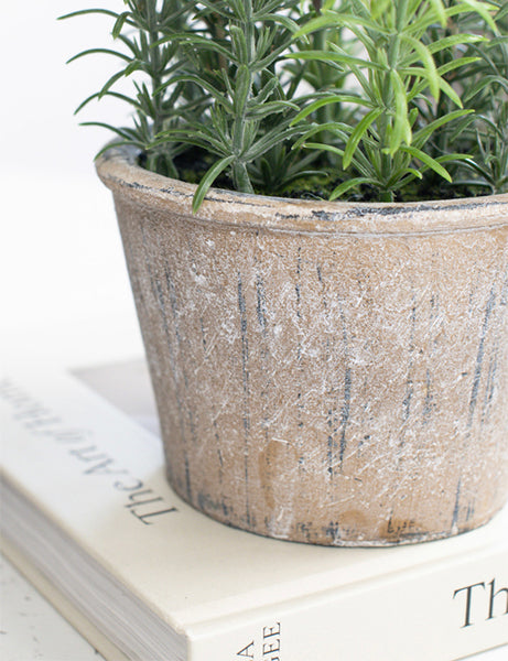 Potted Rosemary Artificial Plant