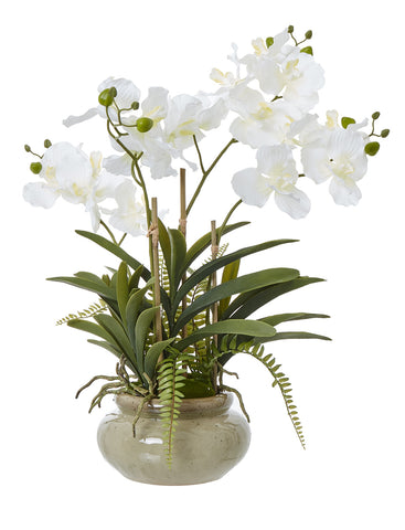 Artificial White Vanda Orchid in Ceramic Pot 68cm