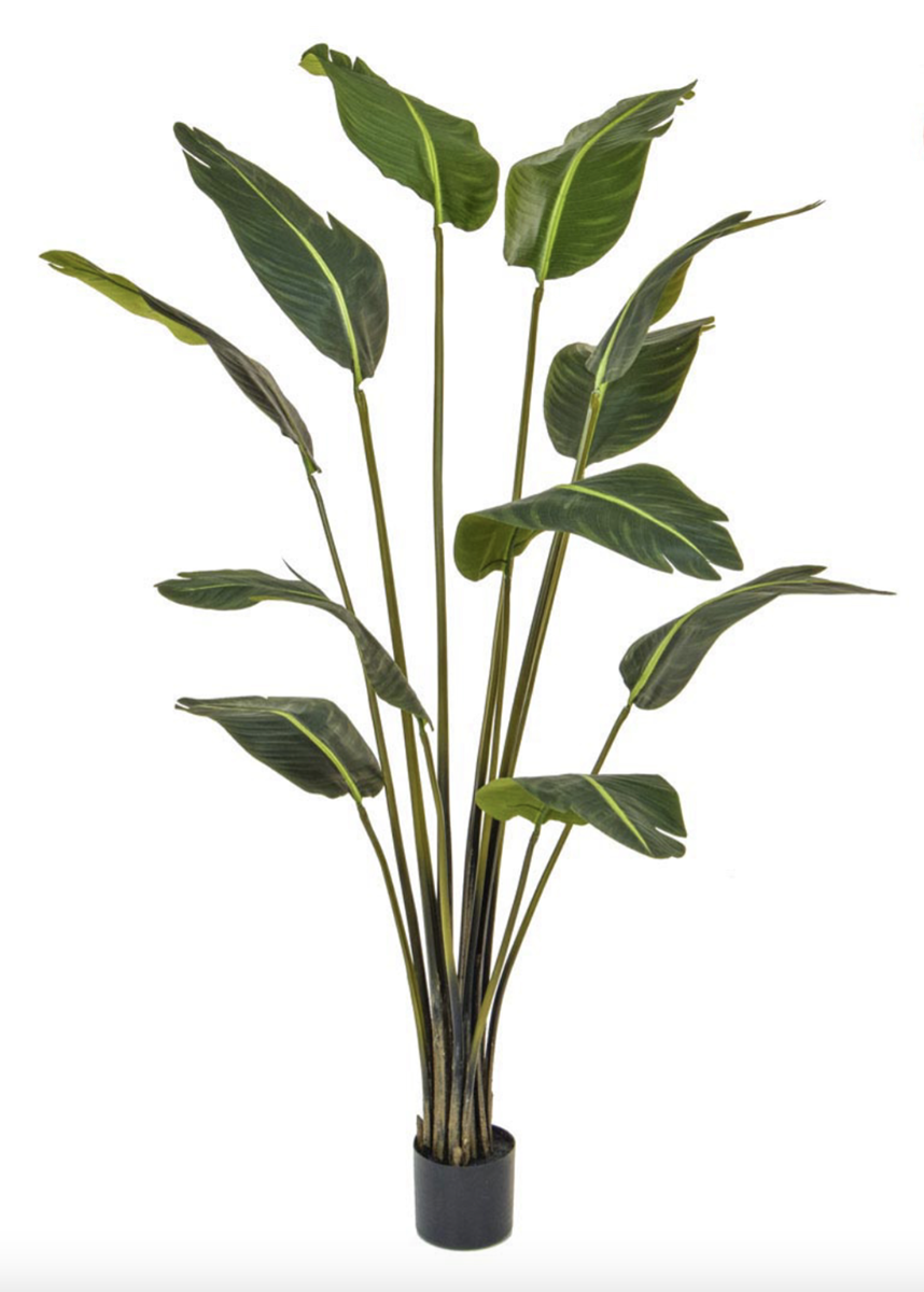 Large Artificial Strelitzia Plant 180cm Fire Retardant