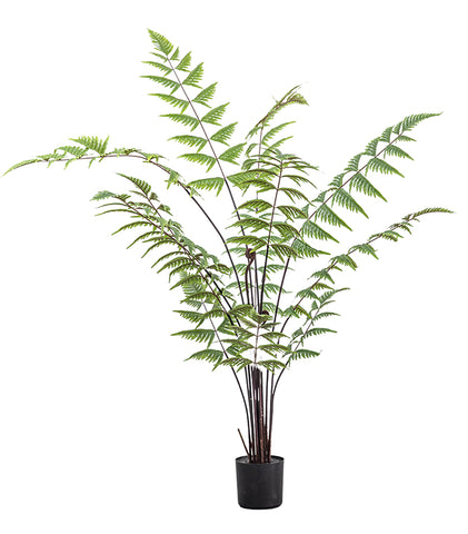 Delicate Faux Butterfly fern plant from Artificial Green