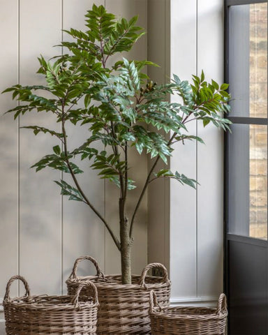 Chinese Olive Artificial Tree 150cm