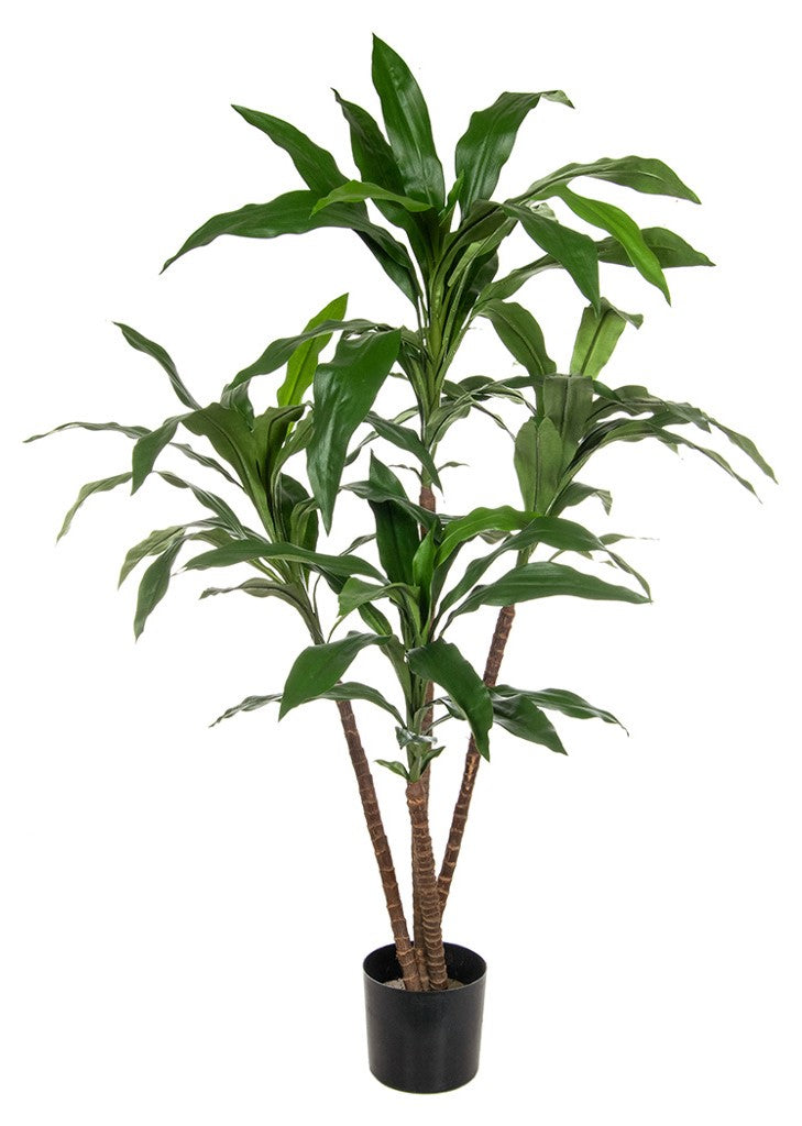 Artificial Fire Retardant Dracaena Plant 60cm – Artificial Green