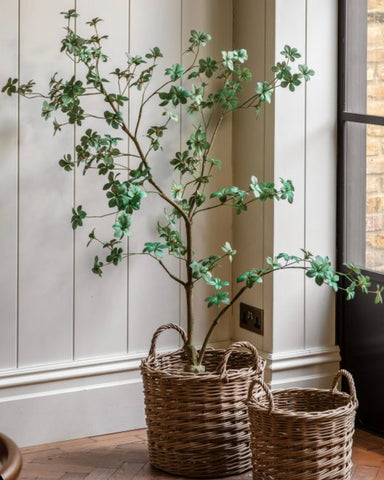 Enkianthus Artificial Tree 150cm