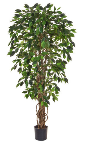 Fire Retardant Articial Ficus Tree 150cm