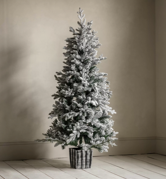 Frosted Mountain Pine Artificial Christmas Tree 6ft