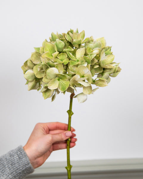 Deluxe Faux Green Hydrangea Flowers Pack of 3