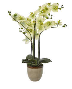 Green Artificial Orchid in Ceramic Pot