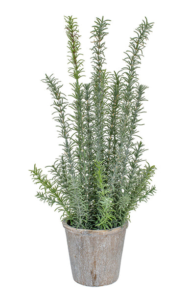 Potted Rosemary Artificial Plant