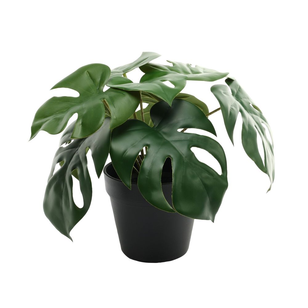 Mini potted Faux monstera deliciosa plant for shelf decor