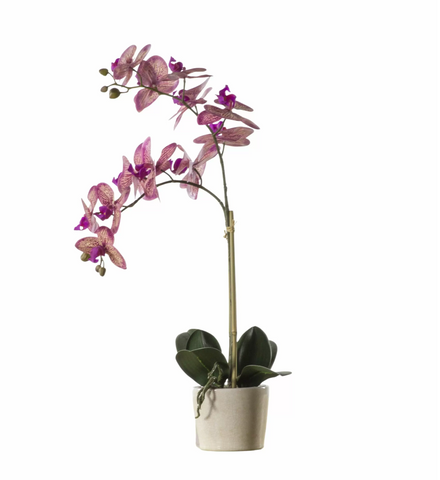 Pink Artificial Orchid in Ceramic Pot