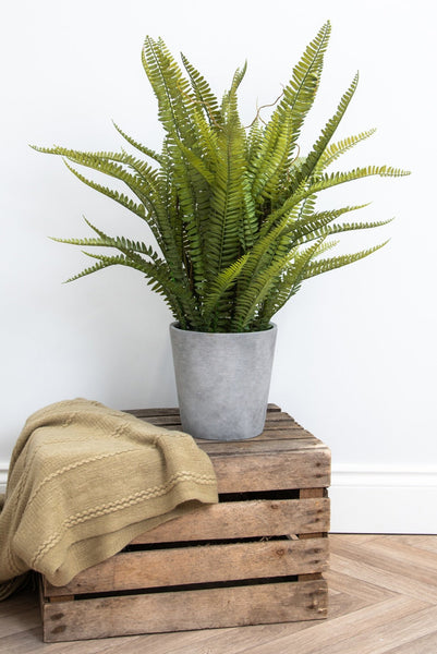 Luxury high quality realistic artificial fern plant in grey pot