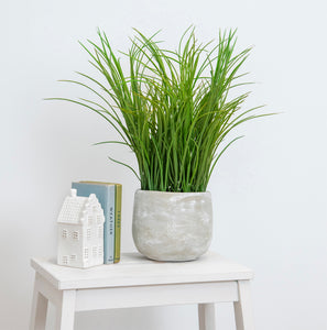 Potted Grass Artificial Plant