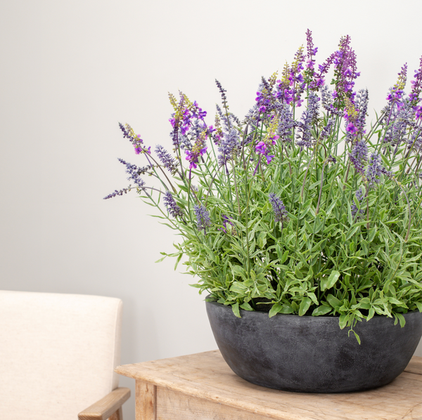 Rustic Lavender Artificial Flower Arrangement in Bowl Planter