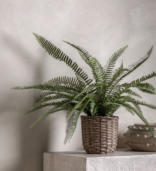 Small Artificial Potted Fern Plant in Basket Planter