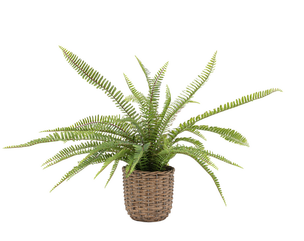 Small Artificial Potted Fern Plant in Basket Planter