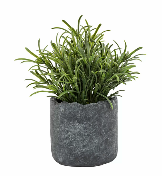 Rosemary Artificial Plant in Rustic Dark Grey Pot