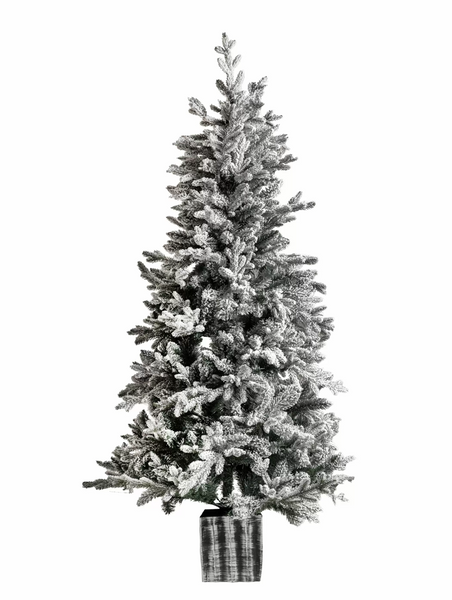 Frosted Mountain Pine Artificial Christmas Tree 6ft