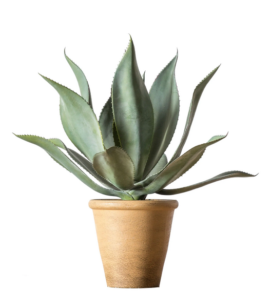 Agave Artificial Plant in Pot 56cm