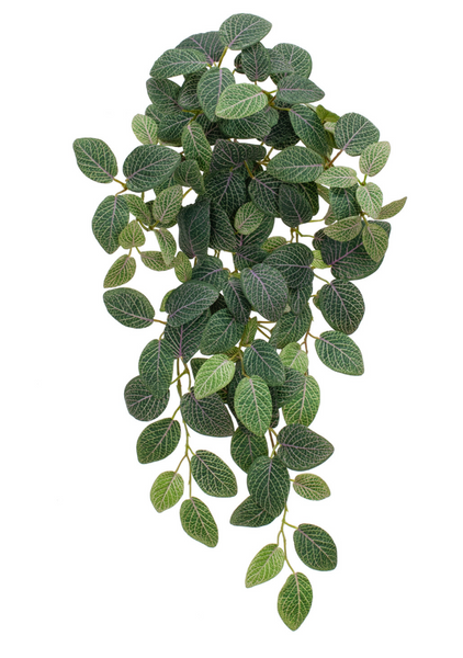 Trailing Artificial Fittonia Plant 54cm Fire Retardant