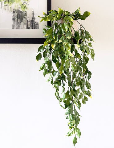 Trailing Ficus Leaf Hanging Artificial Plants