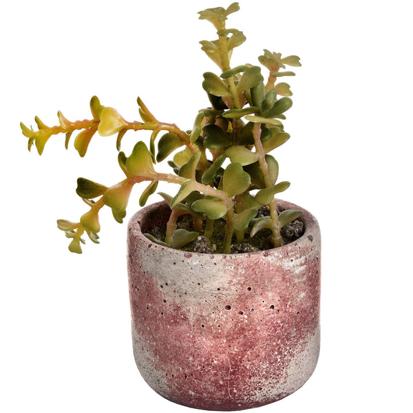 Mini Potted Succulent - Artificial Green