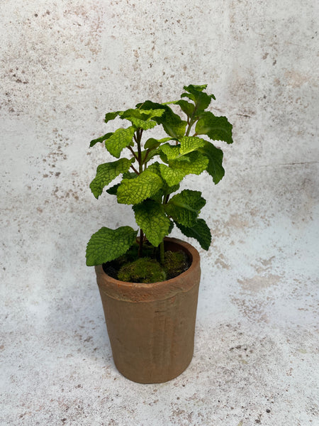 Faux Mint Plant in Rustic Pot 28cm