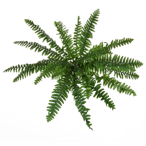 Fire Retardant Boston Fern - Artificial Green